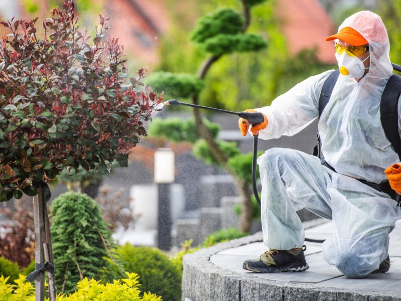 Derinkuyu Haşere İlaçlama